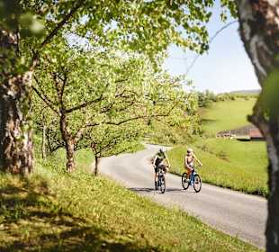 Wandern Leutschach an der Weinstraße