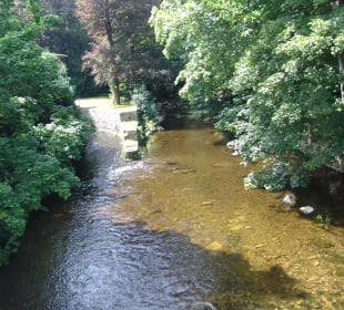 Okertal Rückweg Bild 3