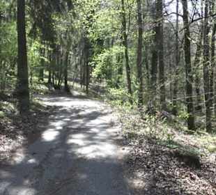 Waldlehrpfad an der Lauter