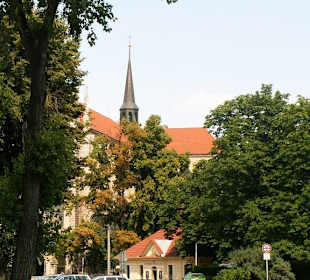 Mesto