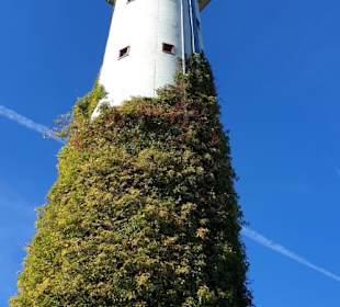 Kobernaußerwald Warte