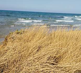 Strand Gouves