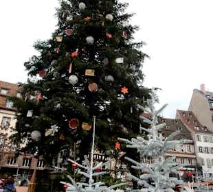 Weihnachtsbaum-Place Kléber