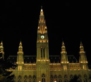 Das Wiener Rathaus bei Nacht.
