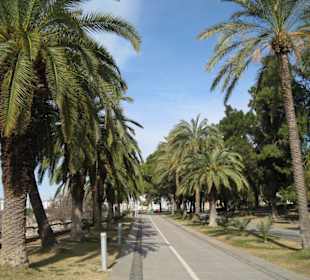 Der Karaalioğlu Park