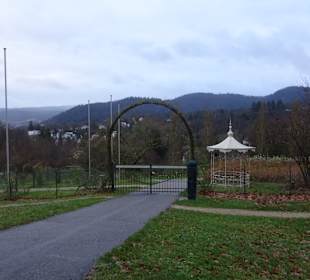 Rosenneuheitengarten