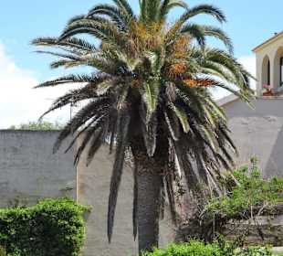 Streifzug durch die Altstadt von Alghero