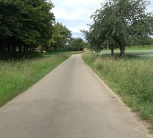 Alte Linde Stockach