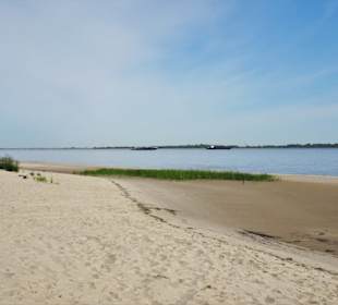 Eindrücke vom Strand der Insel Krautsand
