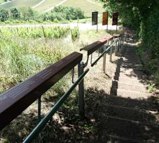 Terroir f – magische Orte des Frankenweins 