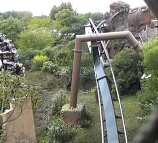 Deep in Africa - Black Mamba