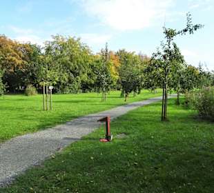 Im Obstmarschenbereich des Natureums