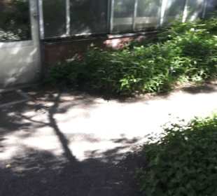 Botanischer Garten