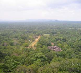Toller Ausblick vom Sigiriya-Felsen aufs Landesinnere