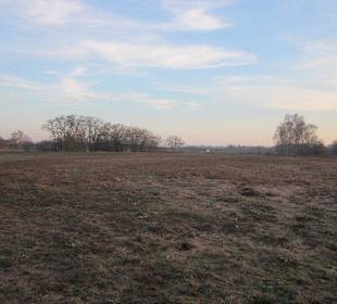 Natur Pur-Germersheimer Düne