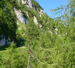 Wanderweg Obersalzberg 