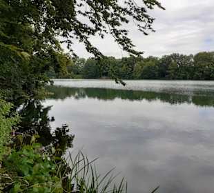 Rensinger See in Kellinghusen