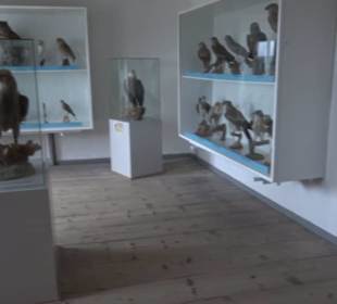 Museum Rosenburg