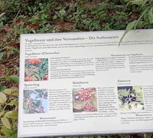 Schaugarten Eninger Weide