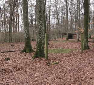 Wildpark Eichert