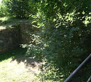 Ruine Engelburg
