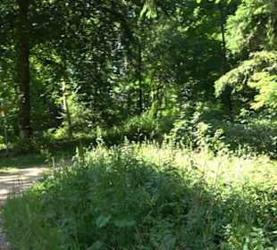 Burg Hölnstein Stetten u. Holstein