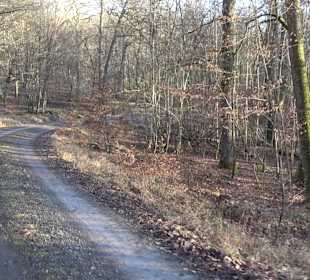 Ochsenweiher Rundweg