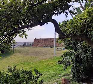 Auf Stadtrundgang durch Port Elizabeth