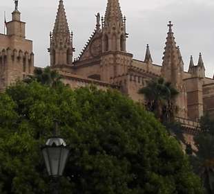 Palma