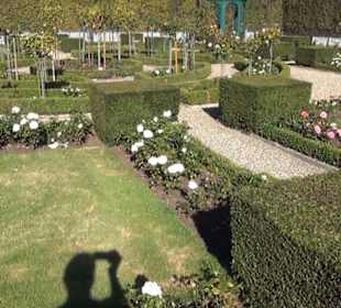 Niederländischer Rosengarten