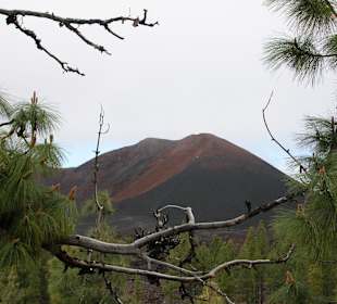 Jüngster Vulkan Teneriffas