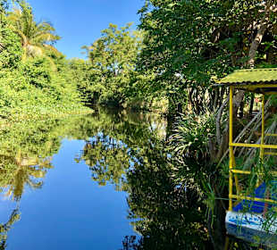 Nationalpark El Choco