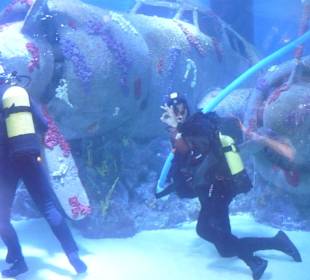 Röhren Aquarium Antalya 