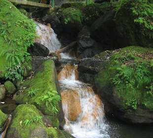 Über dem Wasserfall