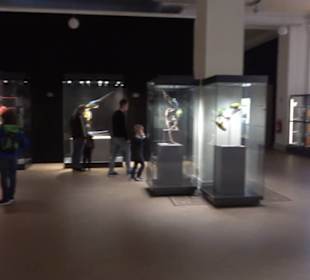 Museum für Naturkunde