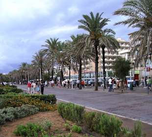 Promenade Palma