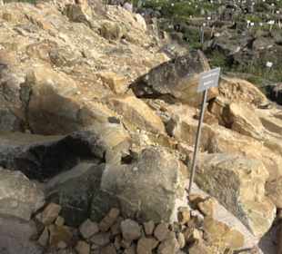 Alpinum