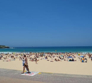 Bondi Beach