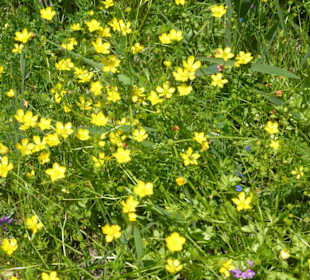 Unterwegs im Naturpark S'Albufera