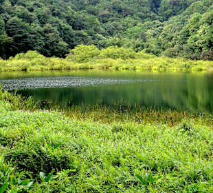 Impressionen vom Grand Etang