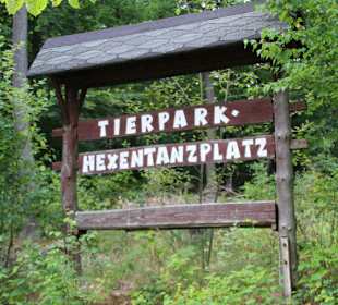 Hinweisschild am Hexentanzplatz