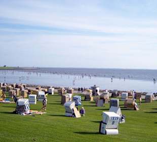Der grüne Strand von Büsum