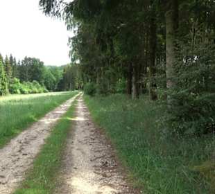 Premiumwanderweg "hochgehackert"