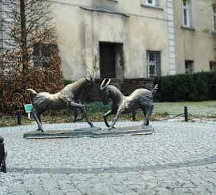 Stary Rynek Poznań