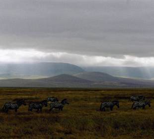 Ngorongoro Krater