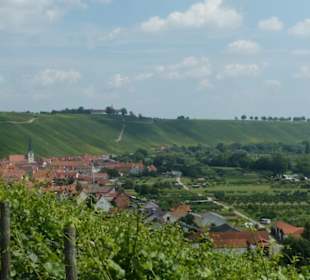 Escherndorf: Eindrücke einer Weinbergeswanderung