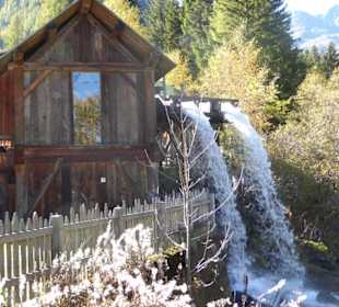 Wanderung zu den Urlärchen