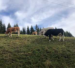 Wandern Luson / Lüsen
