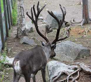 Zoo