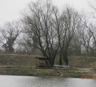 Close up ..."The Island"